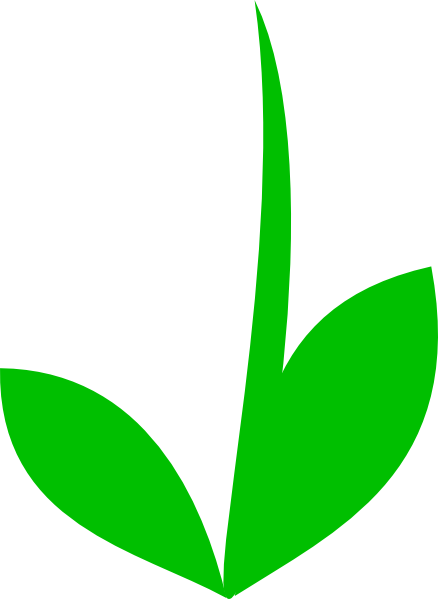 Flower Stem Template - Clip Art Stems (438x599), Png Download