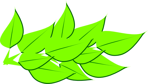 Spring Leaf Clipart - Leaves Clipart (600x342), Png Download