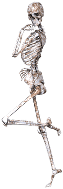 Skeleton On One Leg - Esqueletos Png (400x400), Png Download