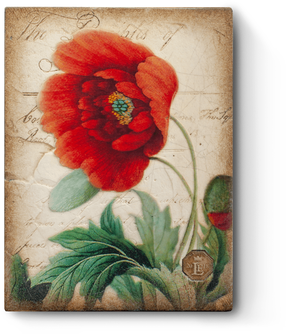 Limited Edition (1100x1100), Png Download