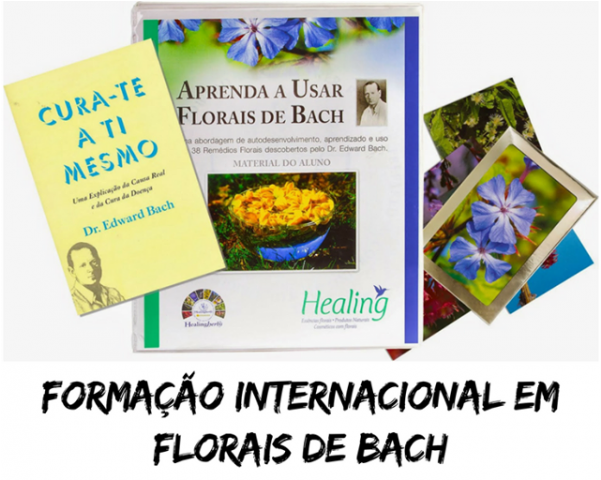 Terapia Floral Sistema De Bach - Write A Book From Scratch: A Step-by-step Guide For (600x600), Png Download