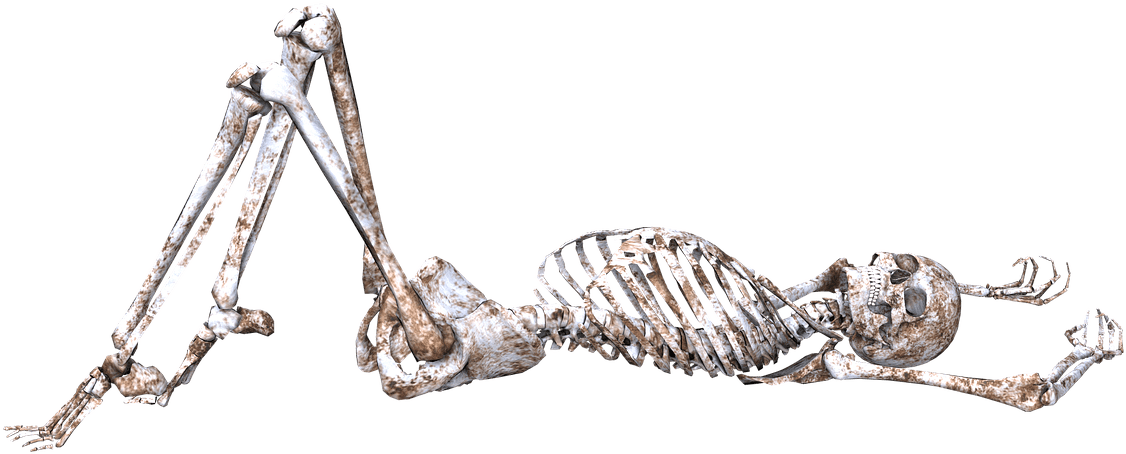 Download - Skeleton Lying Down Png (1280x841), Png Download