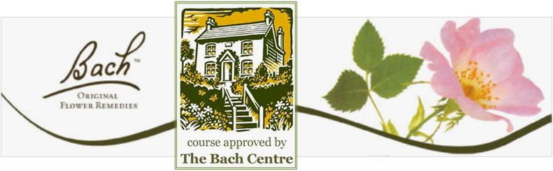 Programa Internacional De Educação Em Florais De Bach - Bach Flower Rescue Remedy Cream 30 G (791x245), Png Download