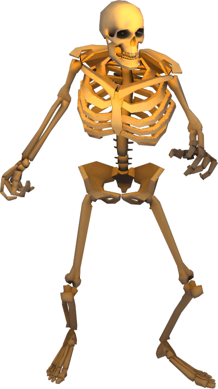 Skeleton Orange - Illustration (428x761), Png Download