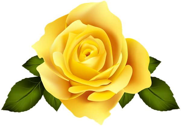 Yellow Rose Flower Png Download - Rosa Groga Sant Jordi 2018 (600x419), Png Download