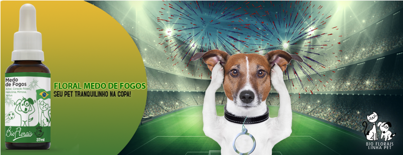 Floral Medo De Fogos 37ml Bio Florais Pet - 150 X 100 Cm Tableau Déco Stade Foot Projecteurs Allumés (1000x1000), Png Download