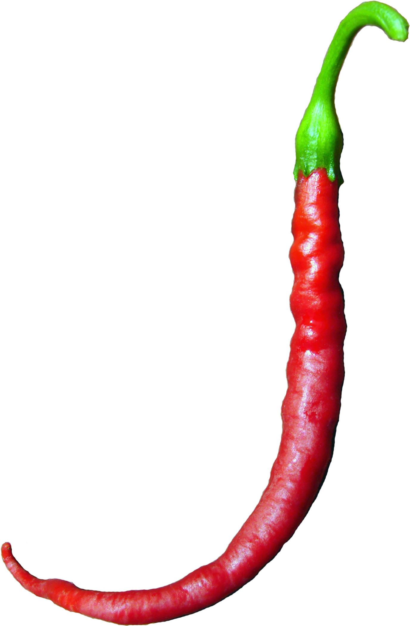 J Pepper Image - Stock.xchng (3000x2500), Png Download