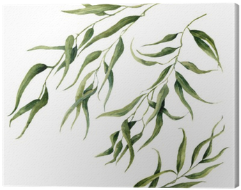 Pintados À Mão Elementos Florais - Eucalyptus Leaves Water Color (400x400), Png Download