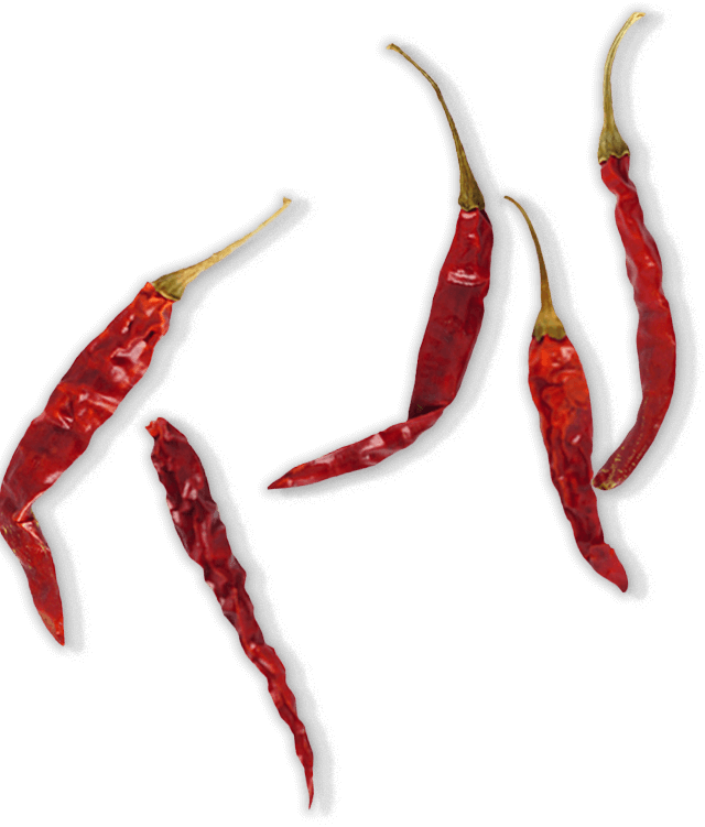 Pepper - - Chilli Png Top View (640x751), Png Download
