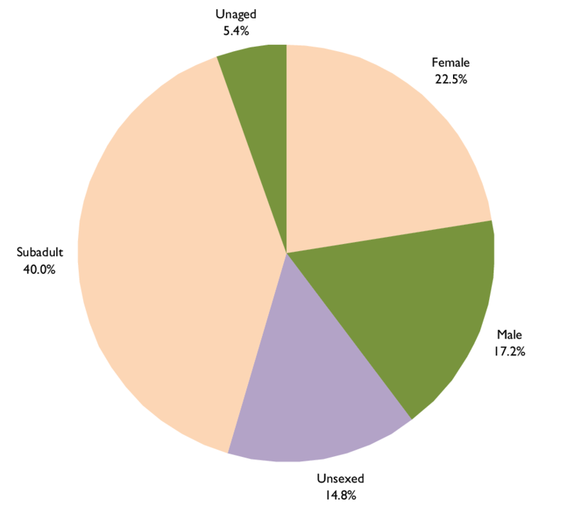 Summary Of Excavated Skeletons - Diagram (850x851), Png Download