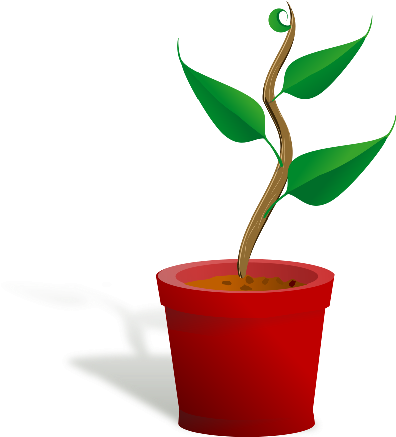 Plant Growing Clipart Png For Web (900x871), Png Download