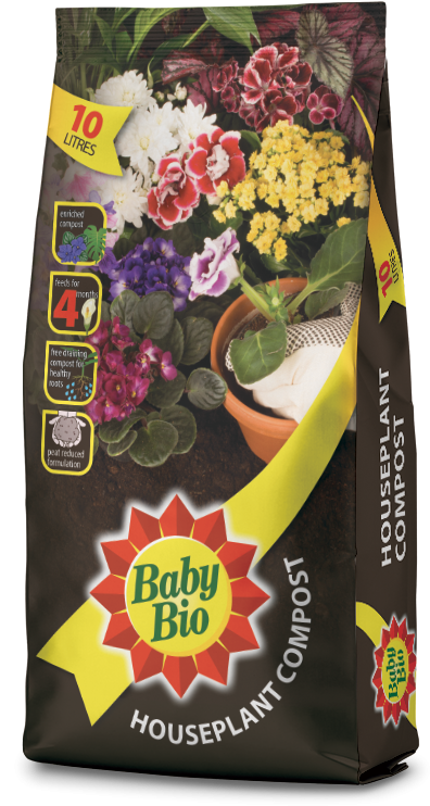 Next - Baby Bio House Plant Compost - 10 Litre (600x756), Png Download
