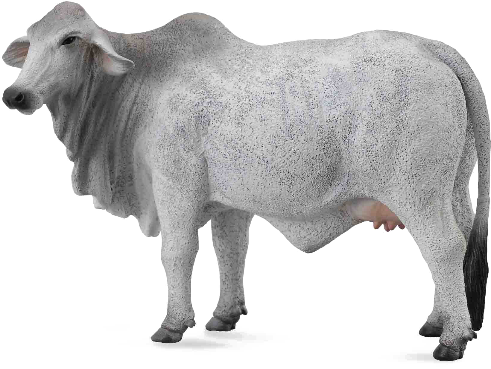 White Cow Png Image Background - Collecta Brahman Cow (1800x1352), Png Download