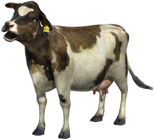 Rosie Mooing - Cow Moos Png (546x495), Png Download
