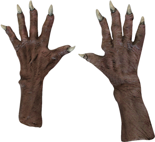 Ghoul Zombie Hands Gloves- Deluxe - Ghoul Gloves (500x500), Png Download