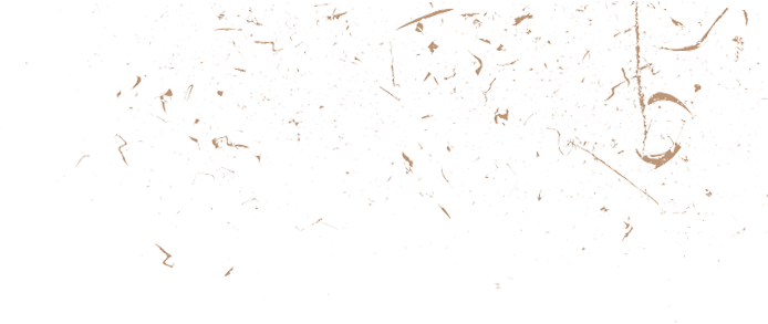 Left Dirt - Insect (694x293), Png Download