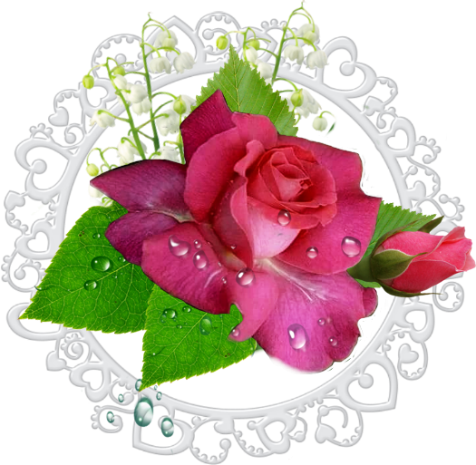 Feuille Verte Goutte D Eau (525x513), Png Download