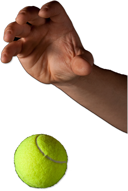 This Unit Introduces Potential Energy And Kinetic Energy - Energy (436x902), Png Download