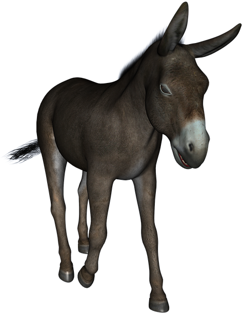Donkey Free Png Transparent Background Images Free - You Re An Ass (720x720), Png Download