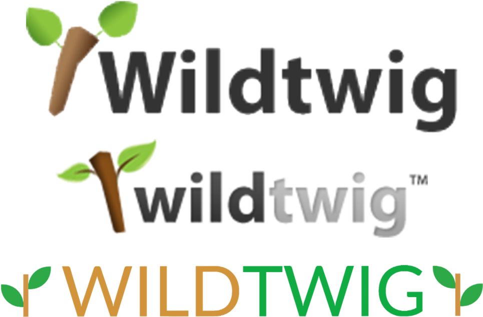 History & Experience - Tebowing (1000x833), Png Download