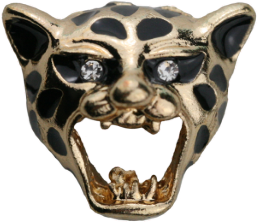 Tiger Gold - Paw (520x760), Png Download