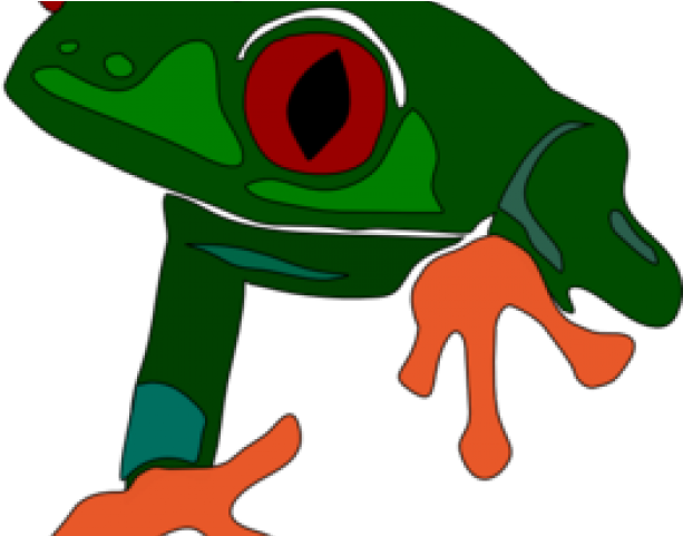 Red Eyed Tree Frog Clipart Transparent - Frog Clip Art (640x480), Png Download