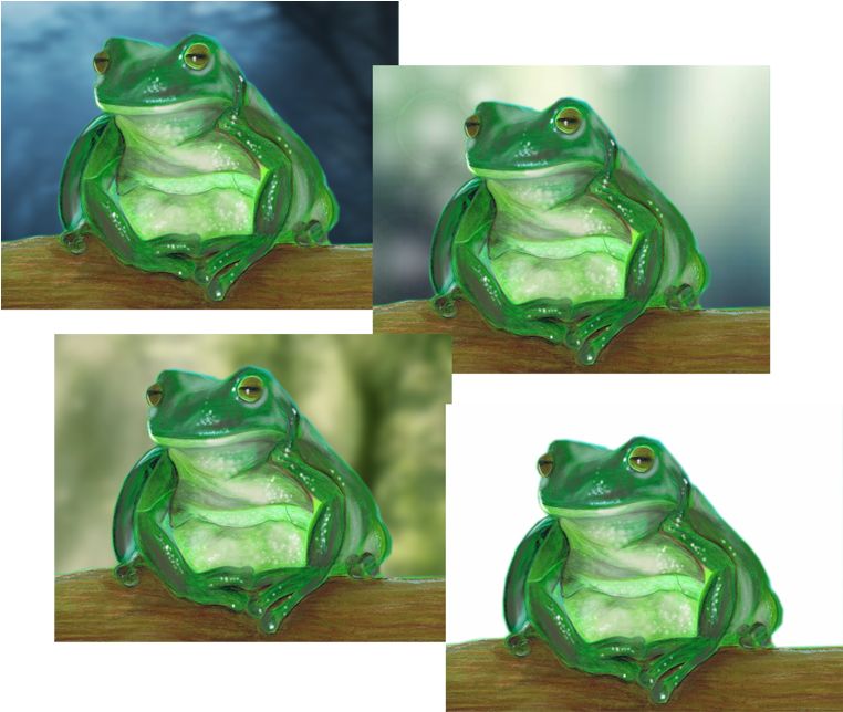 Background Changes - Green-eyed Tree Frog (800x680), Png Download