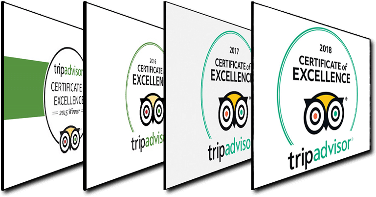 Tripadvisor Certificate Of Excellence 2015 • 2016 • - Cartoon (799x415), Png Download