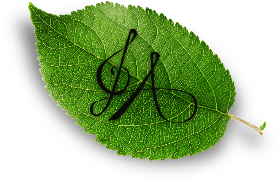 Watermark Hd No Background - Twig (1000x861), Png Download