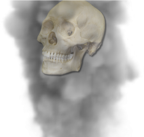 Drawn Smoking Smoke Puff - Skull (640x480), Png Download