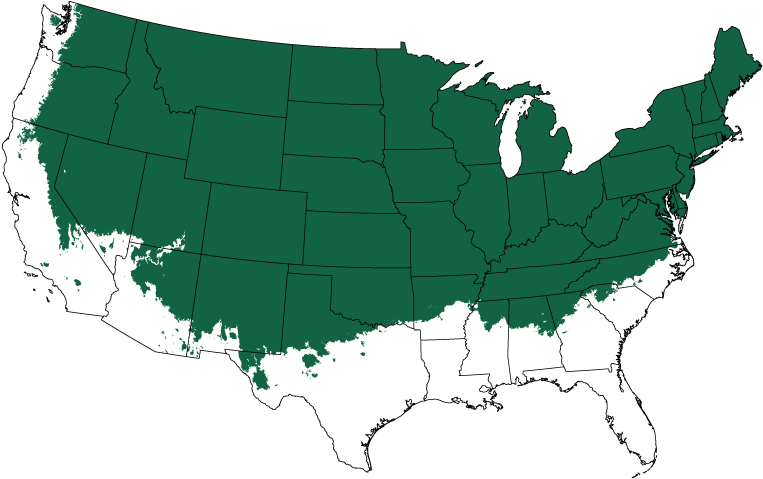 Sungold Sawara Cypress Tree Form - Tulsa Oklahoma On A Map (800x510), Png Download
