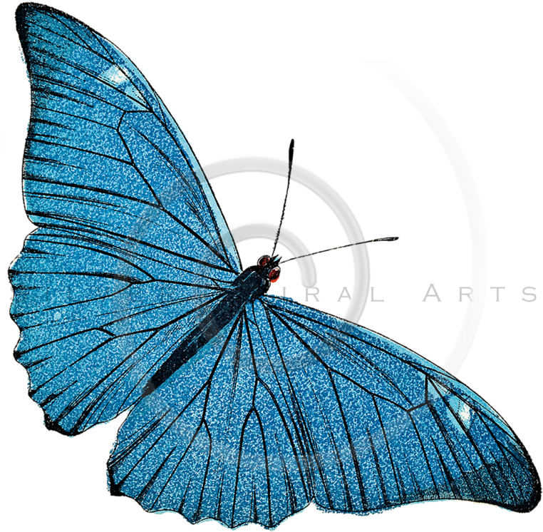 Silver Spiral Arts (768x768), Png Download