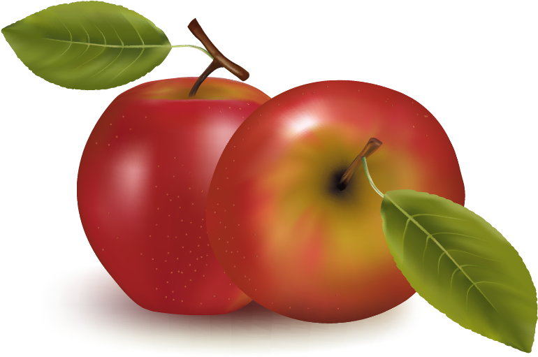Orange Apple Apricot Cherry Plum Png Images - Fruits Vector (850x553), Png Download
