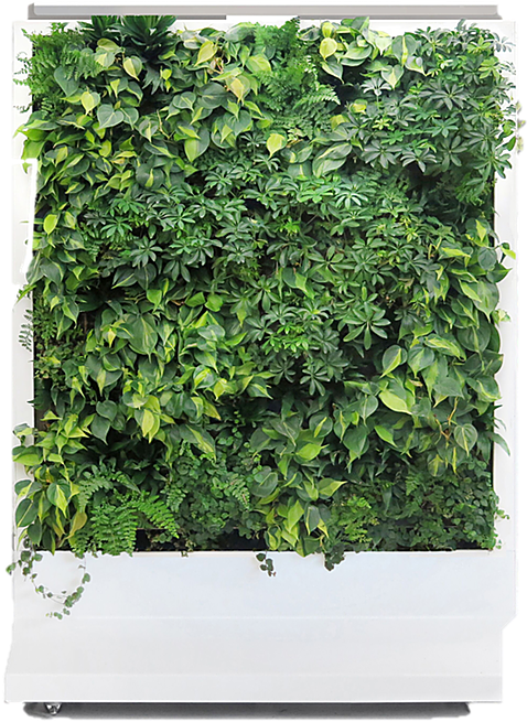 Duet Model - Flowerpot (543x673), Png Download