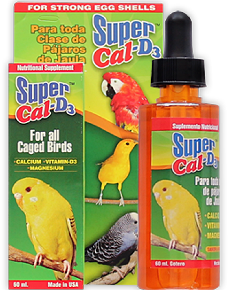 Parakeet (931x1000), Png Download