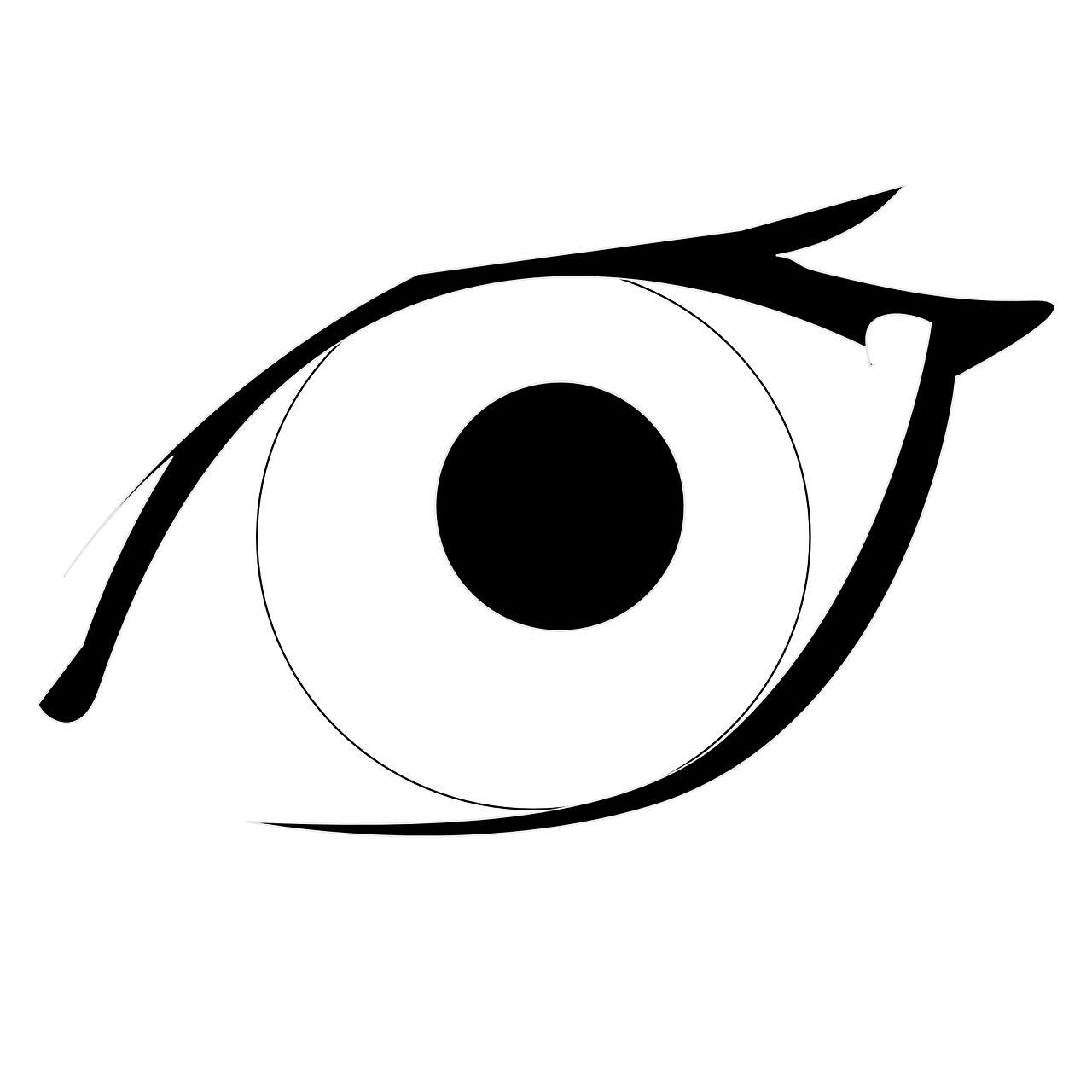 Vector - Tatapan Mata Tajam Png (1280x1280), Png Download