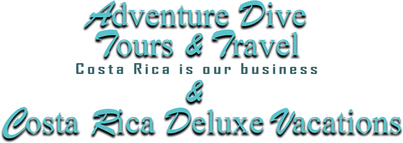 Logo New - Graphic Design (1344x504), Png Download