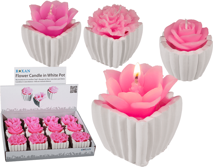 Garden Roses (945x709), Png Download