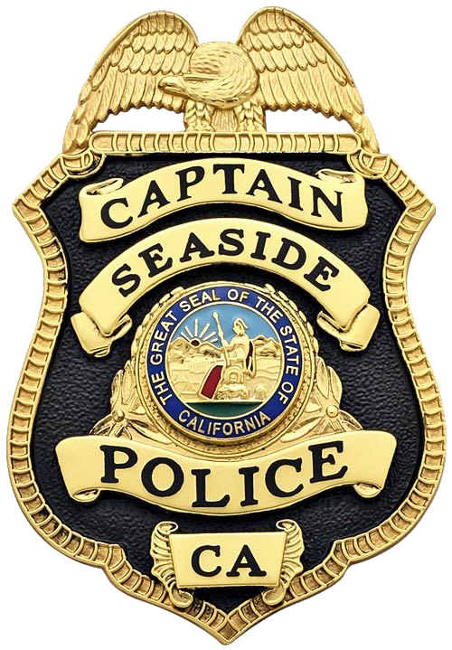 Police Badge Png Background Image - Transparent Png Police Badge (500x719), Png Download