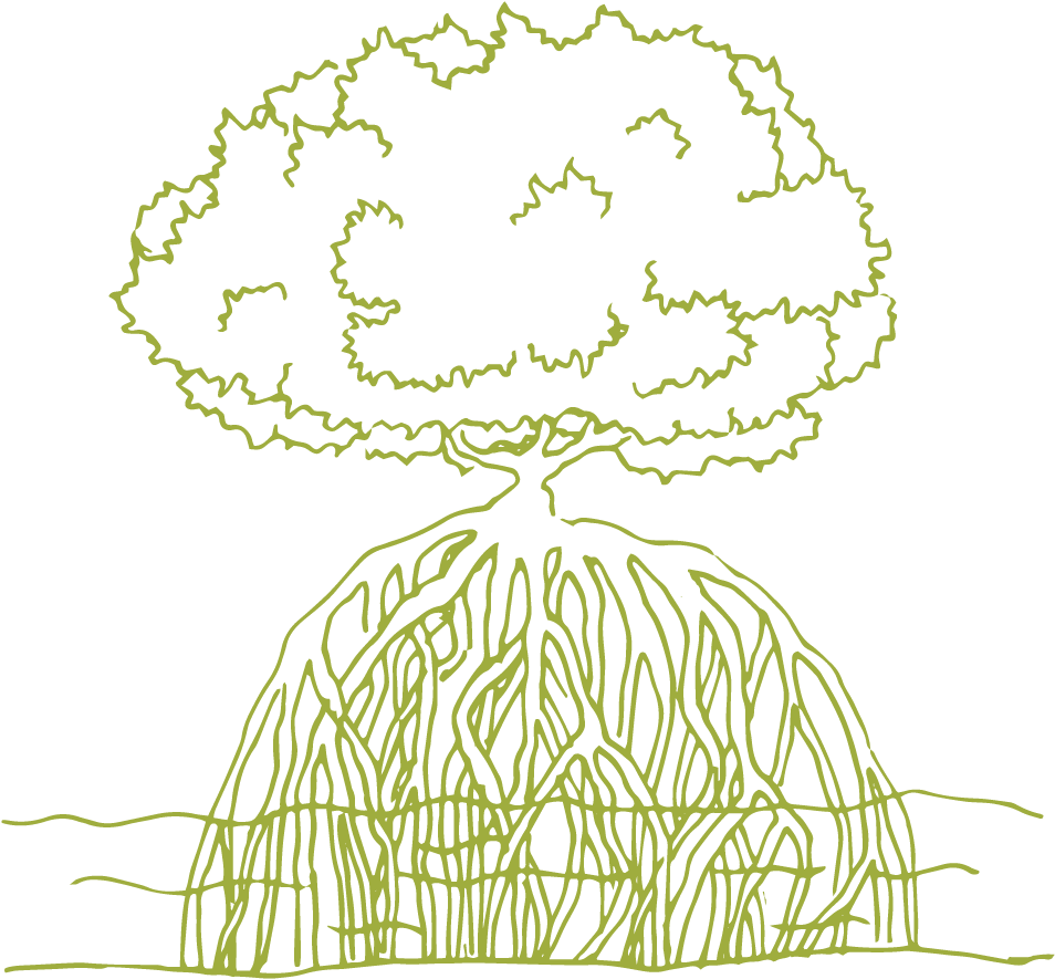 8 Is The World's Leading Bio-inspired Consultancy Offering - Biomimicry Tree Concept Architecture (990x990), Png Download