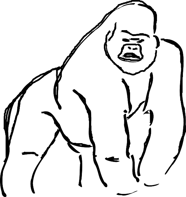 Gorilla Clipart Line - Gorilla Line Art (602x640), Png Download