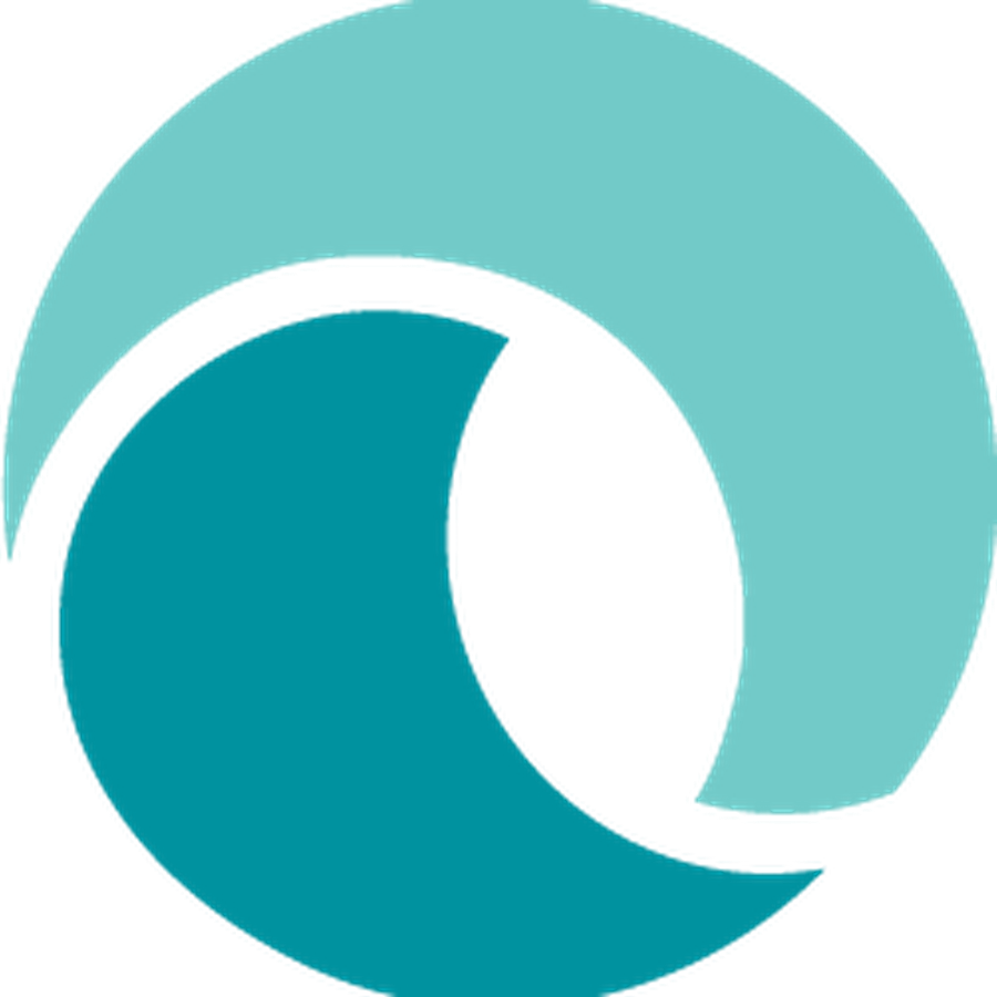 Wave Accounting Software Logo