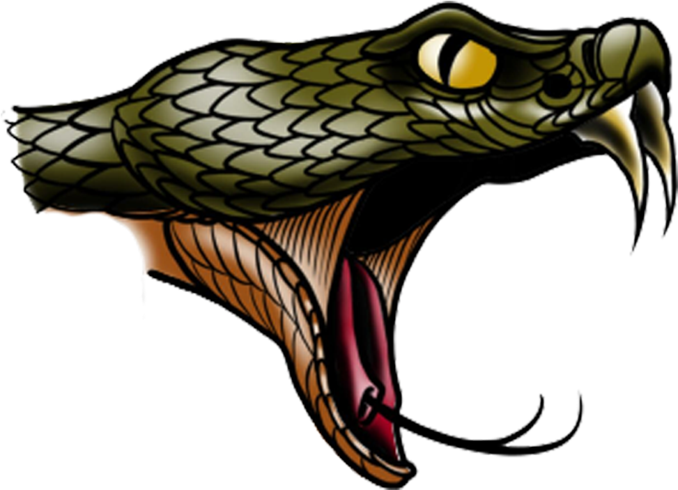 Monroe County Diamondbacks - Illustration (999x844), Png Download