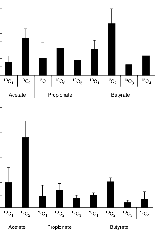 Download - Skyline (495x734), Png Download