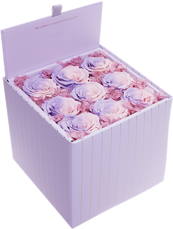 Picture Of Baby Doll - Box (600x600), Png Download