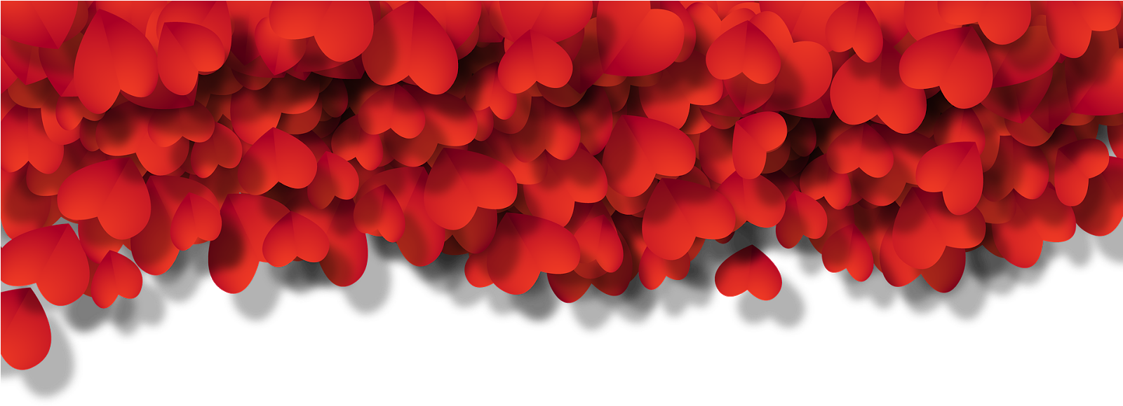Valentine's Day Gift Guide - Transparent Background Rose Frame (1600x594), Png Download