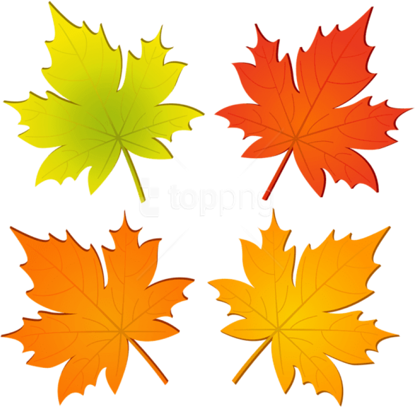 Free Png Set Of Autumn Leaves Png Png Images Transparent - Maple Leaf (850x826), Png Download