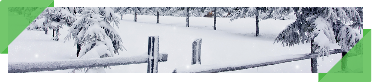 Snow Removal - Snow (1249x276), Png Download