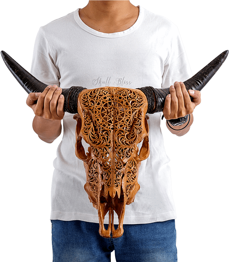 Horn (1000x1000), Png Download