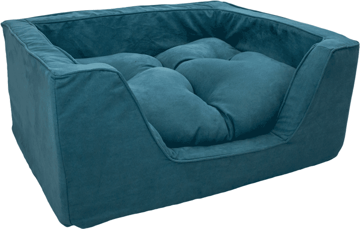 800 X 800 4 - Comfort (800x800), Png Download